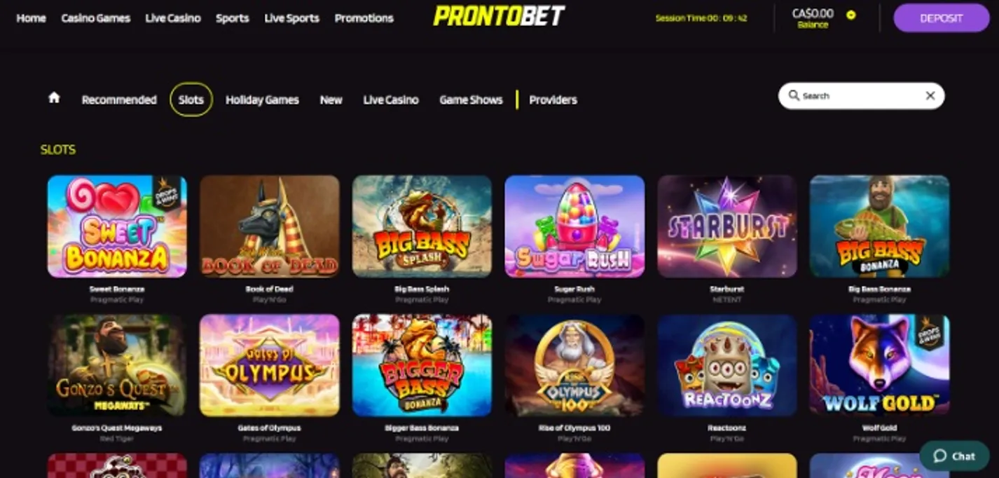 Bet7.com ratinho